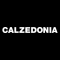 сеть магазинов "Calzedonia"
